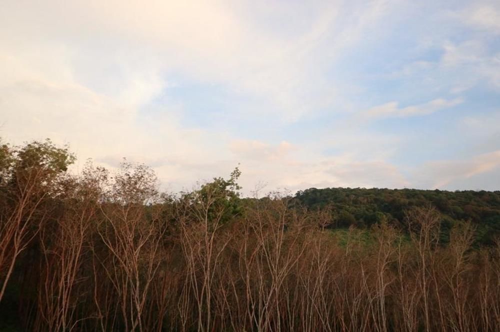 Cottage Hill At Lanta Ко-Ланта Экстерьер фото